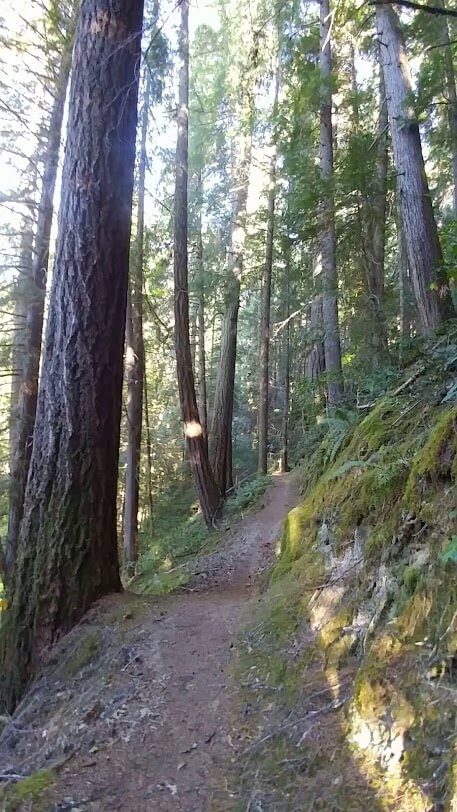 upmqua trail